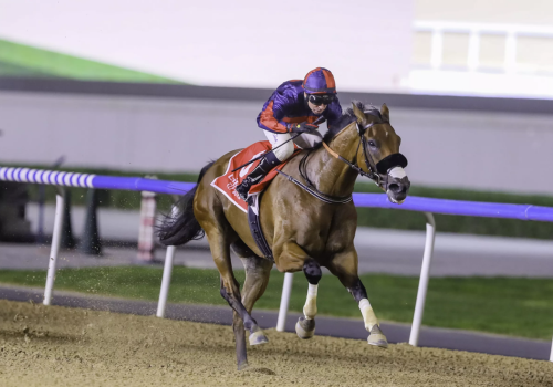 Imperial Emperor Poised for a Dream Debut in Dubai World Cup